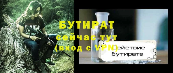 сатива Ельня