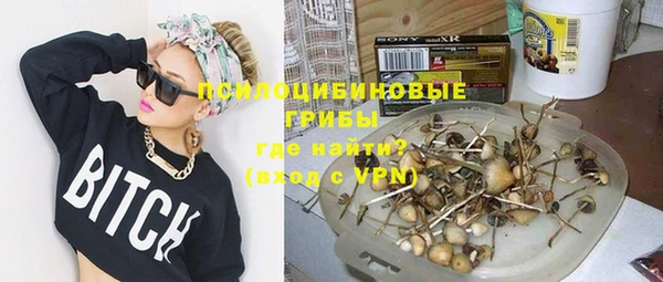 СК Елизово